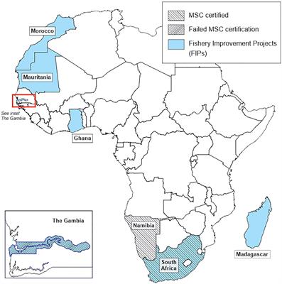 Ocean and Marine Stewardship in Africa: The Marine Stewardship Council Certification in Namibia and The Gambia